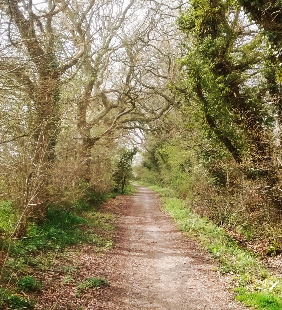 Glyndebridge Turnpike