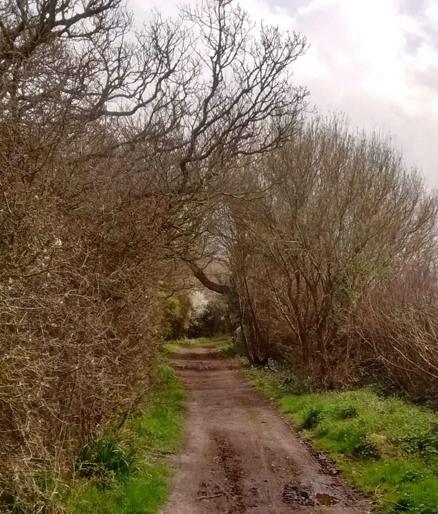 Glyndebridge turnpike