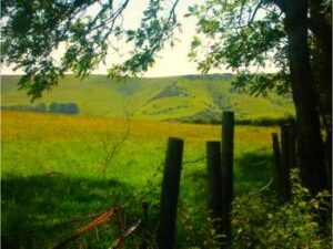 Lewes to Kingston Walk