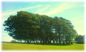 Ditchling Beacon walk