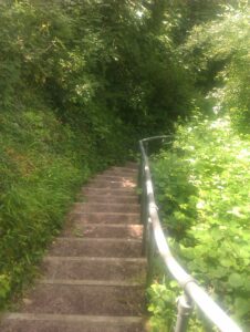 chafford gorges walk