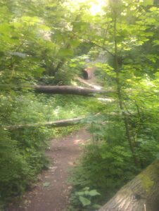 chafford gorges walk