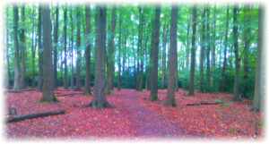 three bridges walk