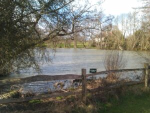 lewes walk