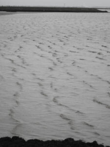 kentish thames walk