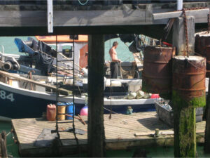 Newhaven walk