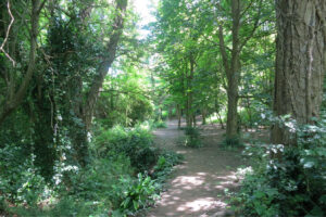 Ore Walk